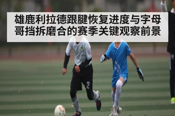 雄鹿利拉德跟腱恢复进度与字母哥挡拆磨合的赛季关键观察前景（mk sports）